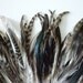 CHINCHILLA TAIL FEATHERS  / Natural Chinchilla  / 152