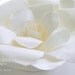 Huge Paper Flowers - Hand Torn French Paper Flowers - Featured in Romantic Homes & Your Wedding Day Magazine