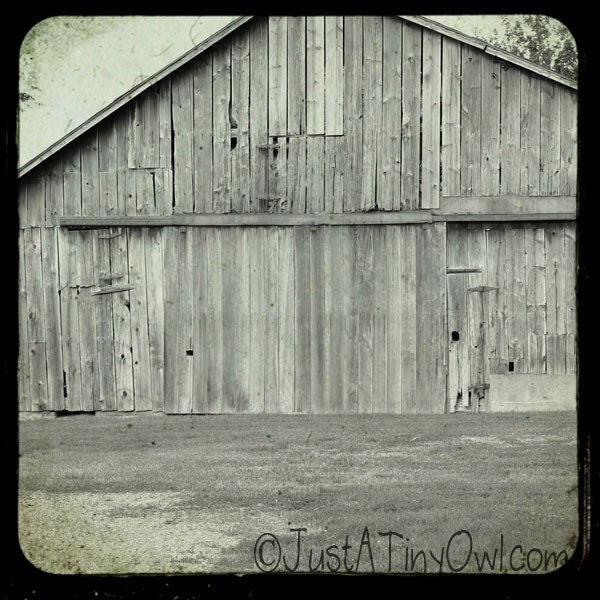 Black and White Indiana Barn TTV Style Metallic 8x8 Photograph