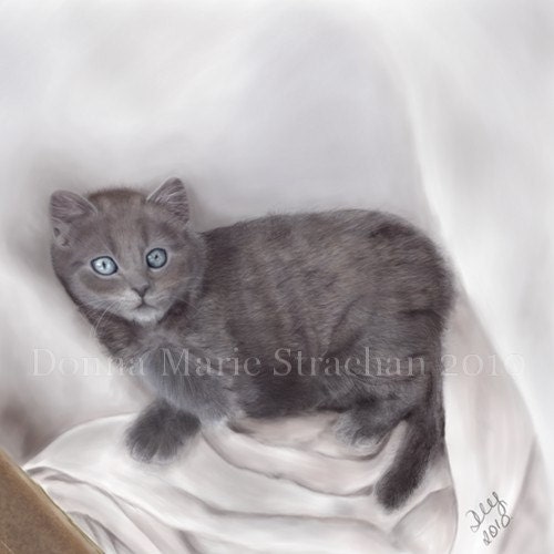 Willow the kitten painting 5 x 5 inch photographic print