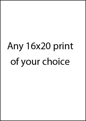 Any Image - Fine Art - 16x20 - Your Choice and Image in Shop - Original Wall Art