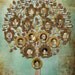 Family Tree Design - Custom  Tree with 15 Photos and 16 Labels