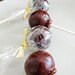 Caramel Lollipop Sampler by Have It Sweet 12 Pack