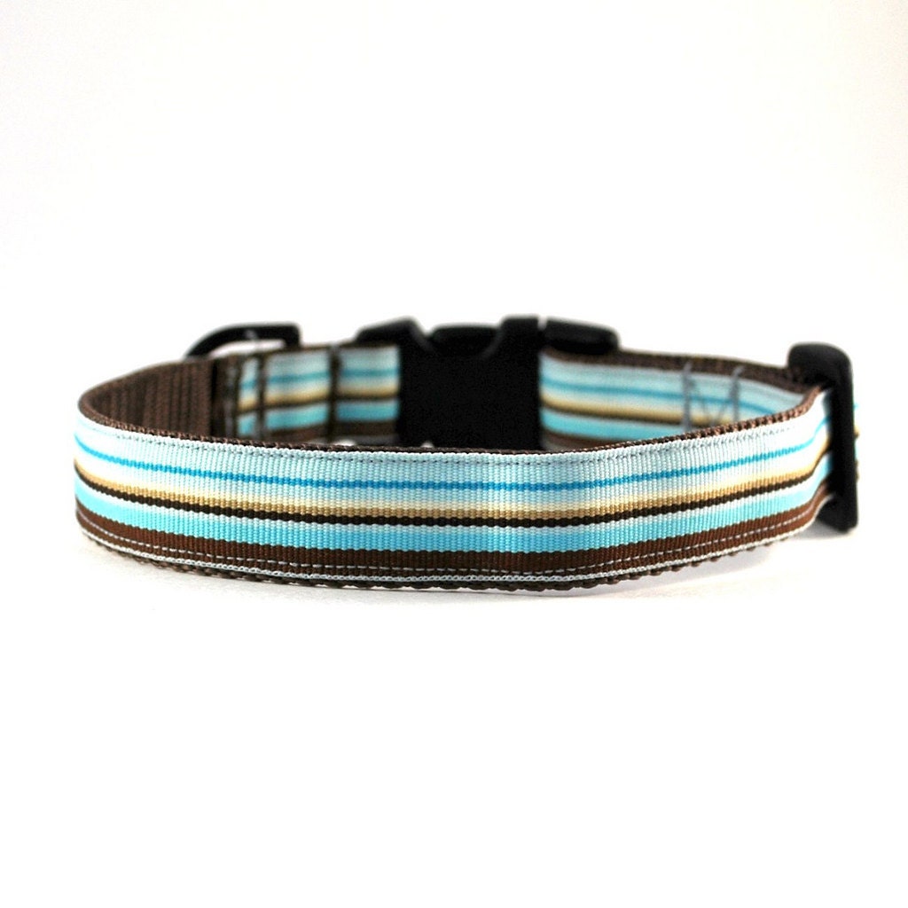 Ocean Park 3/4 Inch Dog Collar SM