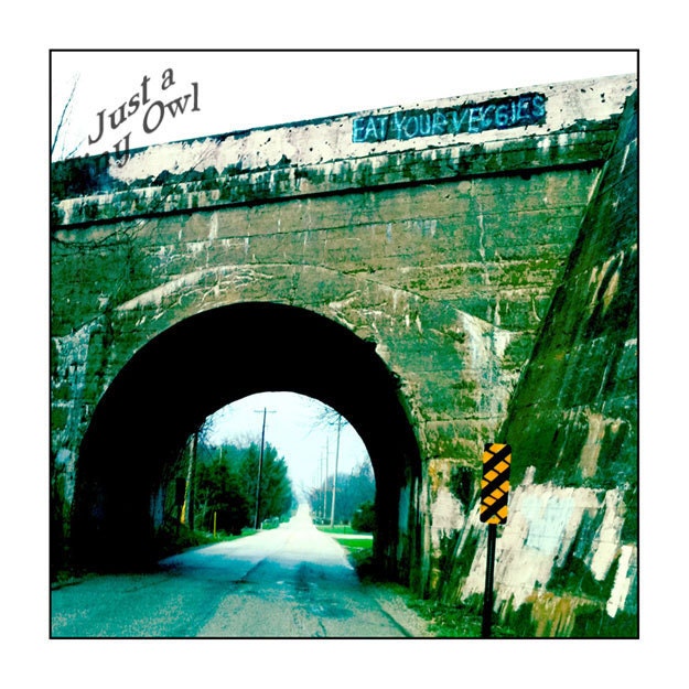 Eat Your Veggies - Bridge Graffiti 5x5 Metallic Photograph