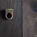 All Natural Wood and Moss Ring Planter