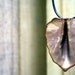 Soft Tan Enameled Leaf