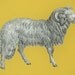 Ram Plate