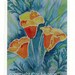 Painted Poppies Card