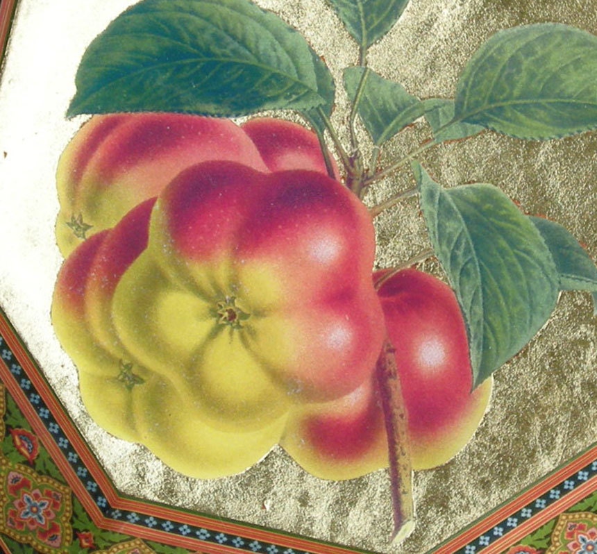 Funny Fruit Plate