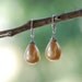 Beautiful Shell Teardrop Pearl Earrings