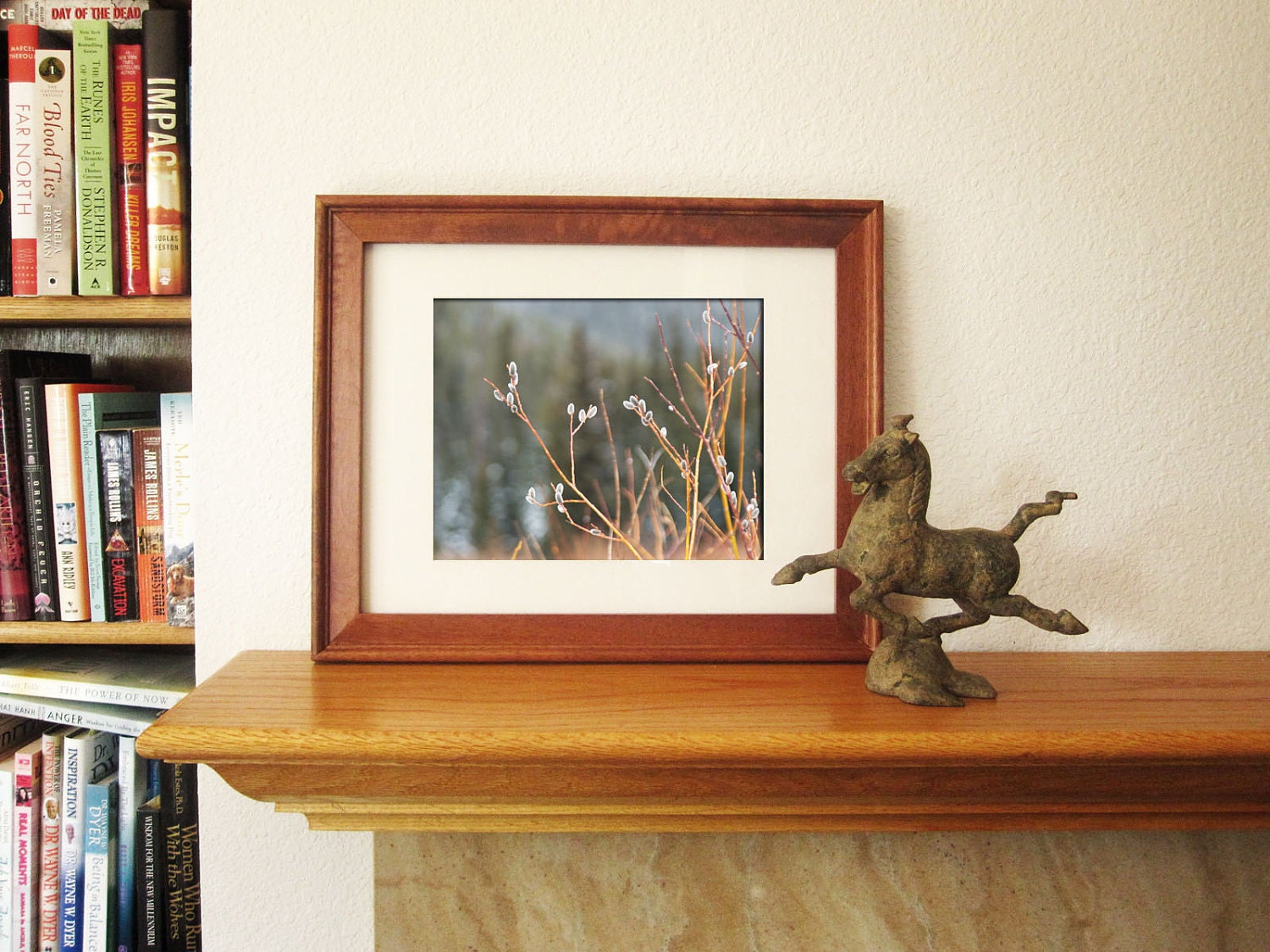 Pussy Willow Photo -Soft Nature Botanical Art Print -Woodland Decor -Naturalist Decor -8x10 Colorado Fine Art Photograph