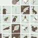 Alphabet of Endangered Species in the British Isles