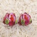 CC Design Lampwork Pair 928 Red Pink Rose Buds