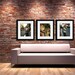 New Orleans Collection of Photographs. Three 11"x14" Fine Art Prints - 30% Savings. Affordable Home Decor. French Quarter Wall Art.