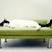 Modern Pet Bed, chaise lounge chair (Cat Bed / Small Dog Bed)