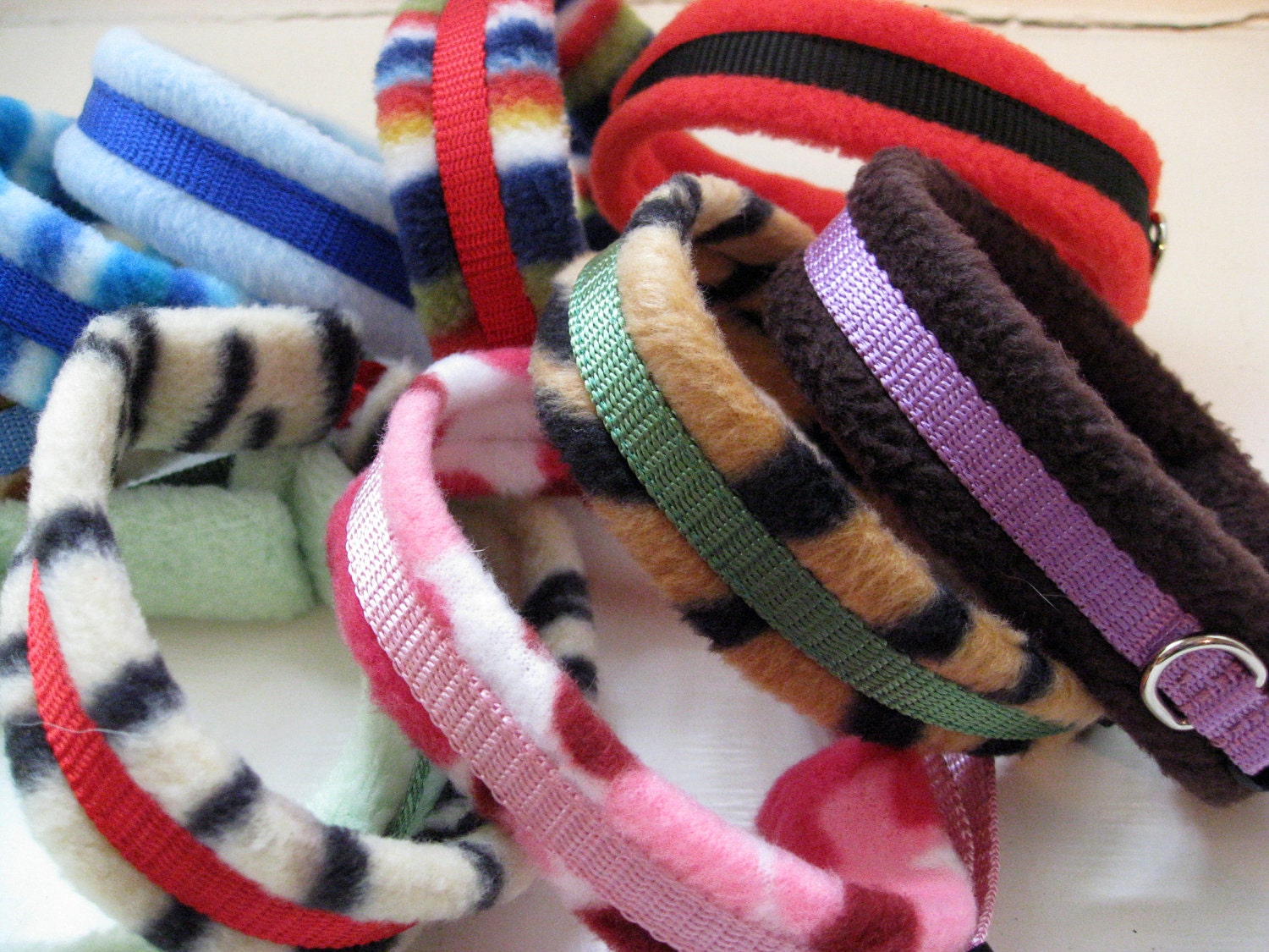 Padded dog collar - puppy / small dog