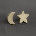 Moon Star Earrings in Bronze