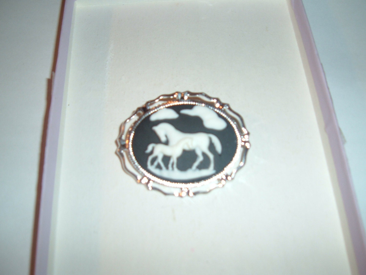 Mama  Horse and Baby Cameo Brooch With Matching Cell Phone Or Eyeglass Case