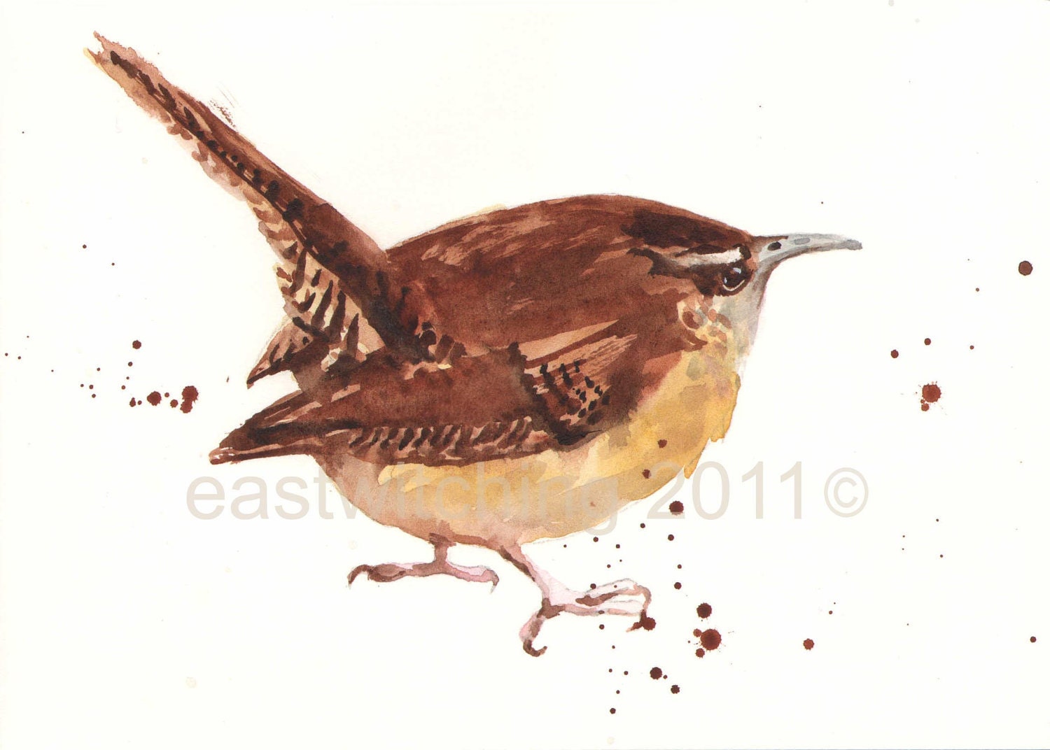 WREN Watercolor Art Print 8x10inches - Cheeky Wren