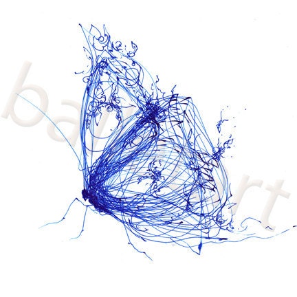 cobalt blue butterfly