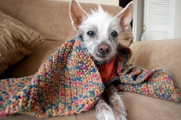 Hand-Crocheted Pet Blanket