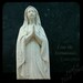 Our Lady of Lourdes - TTV Photograph - 8x8 Metallic Print