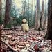 Stand Strong - Fine Art Photograph - 3 foot wall print