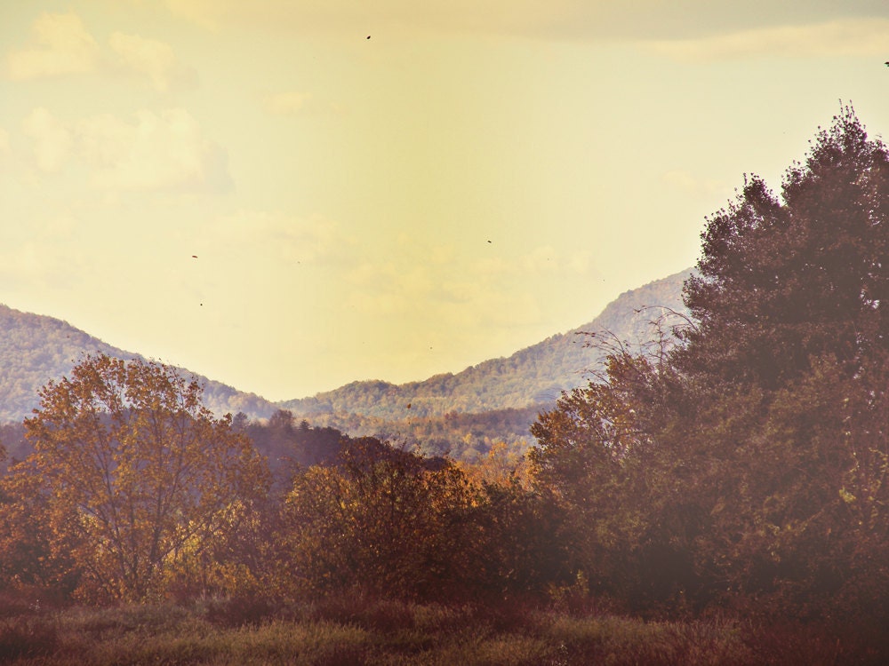 Mountain Wind Fall - Fine Art Photograph - 5 foot wall print
