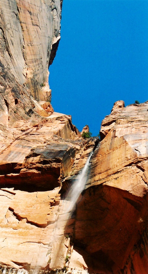 Zion - Fine Art Photograph - 5 foot wall print