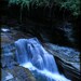 Water Life - Fine Art Photograph - 5 foot wall print