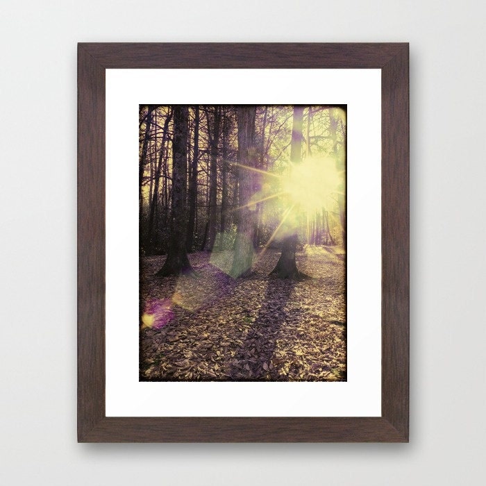 Wild Light - Fine Art Photography Print - Framed 10 x 12