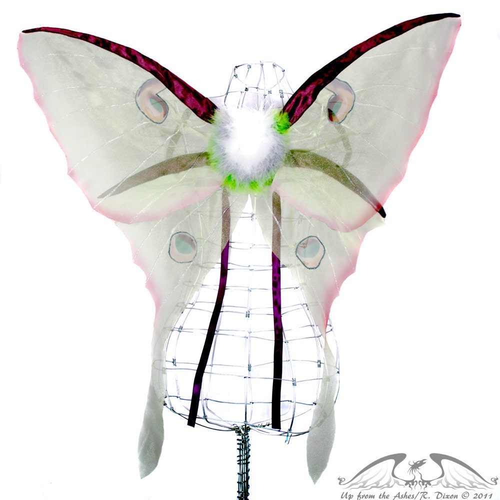 Luna No.8 - Luna Moth Large Fairy Wings