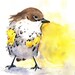 Bird Watercolor  - Archival Print of watercolor painting