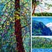 Summer 3 - fine art print note card landscape cottage sky lake blue