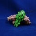 Green Cuttlefish Necklace - Handmade Polymer Clay Jewelry