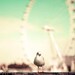 Buy1 Get1 Free Mint green, London photography, Millennium Wheel, UK Olympics pastel pale ferris wheel spring mint  Oht