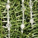 Set of Three Sparkling Crystal Icicle Ornaments