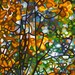 budanArt 8 x 10 Chunky Print - Summer Tree
