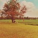 Cemetery Hill - 8x10 Photo Print