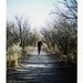 Winter Walk - 8x10 Polaroid Reprint