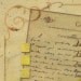 Letter to Chloe 1 - Black-throated Green Warbler