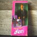 Vintage 1984 Day-to-Night Ken in Box