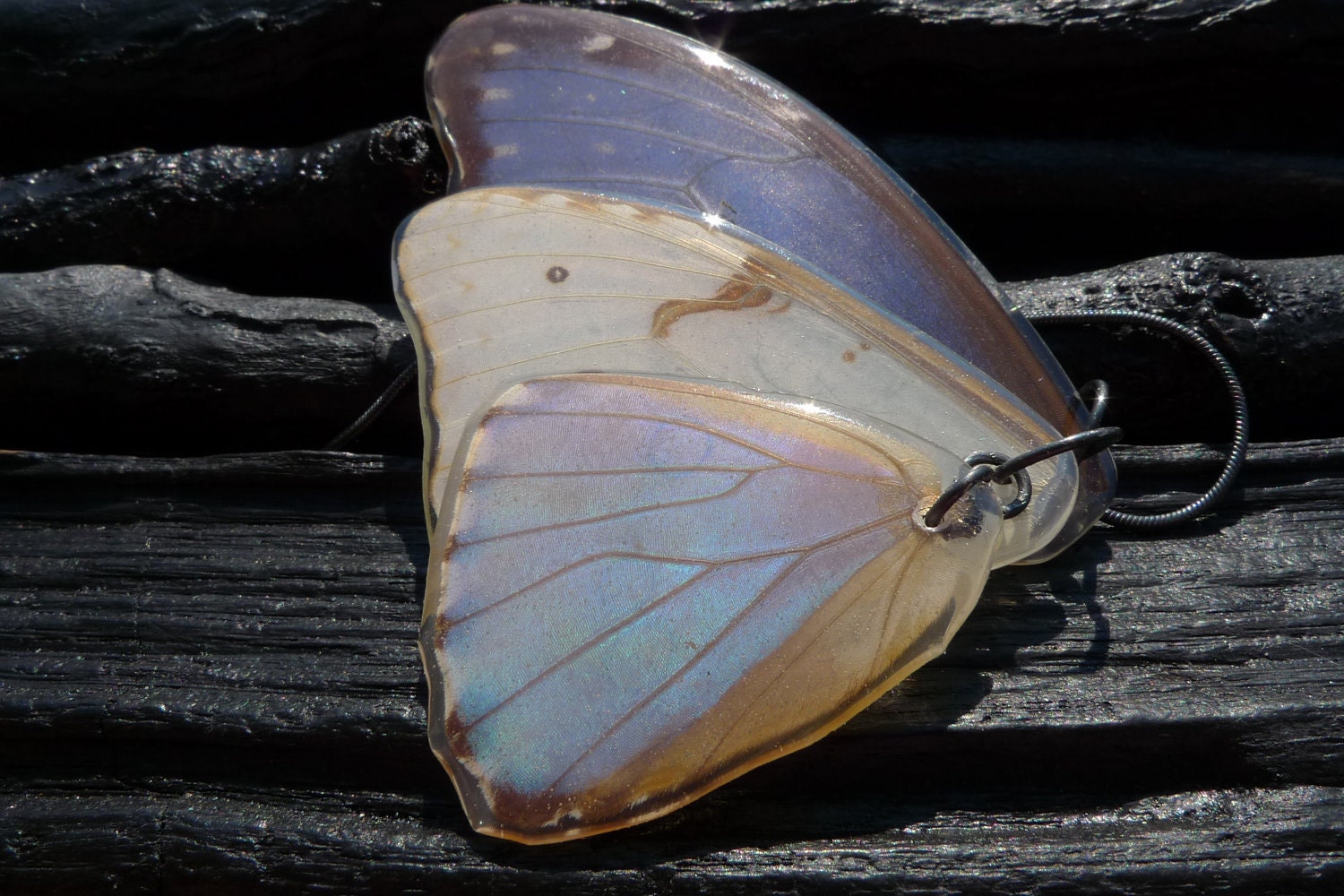 ON SALE real Butterfly Wing Necklace by Beijo Flor by BeijoFlor