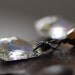 Crystal Earrings, Sparkling Swarovski Crystal and Oxidized Sterling Silver - Champagne