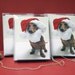 Dachshund Santa Boxed Christmas Cards