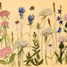 Painted Furniture Contemporary Painted Keepsake Box Wood with detailed Flowers Illustration