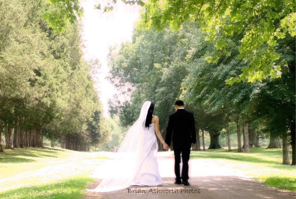 Classic Cathedral Length Veil