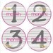 Monthly Onesie Sticker (Girl):  Pink & Grey Stripe