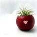 Air Plant Pod - Red & Pink Valentine